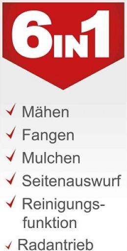 Energie-Label Scheppach MS225-56 (Benzinbetrieb)