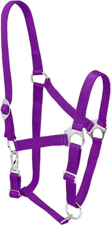 Image du produit Firefoot - Licol ECONOMY