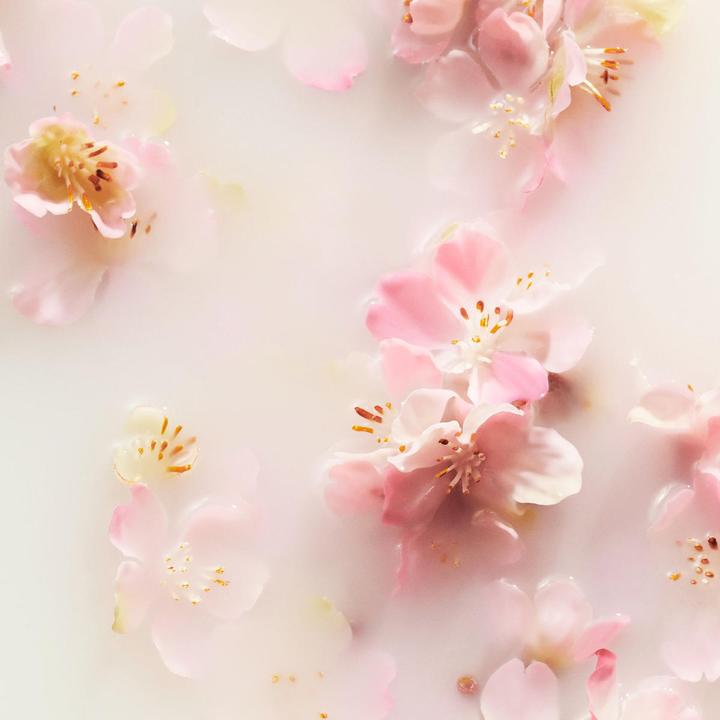 Image du produit Rituals Les rituels de Sakura