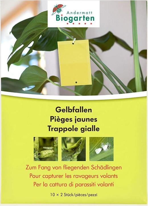 Produktbild Andermatt Biogarten Gelbfallen