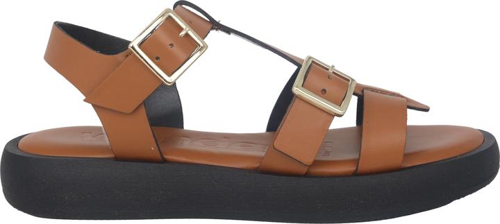 Actual product image Wonders Luz (41)