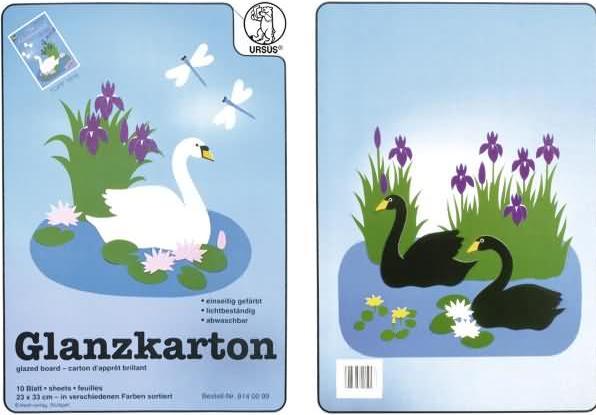 Image du produit Ursus Carton brillant (250 g/m², 1 x)