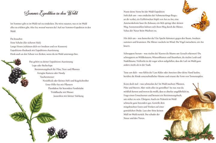 Produktbild Durch das Jahr mit Peter Rosegger. Ein Hausbuch für die ganze Familie (Karin Ammerer, Deutsch)