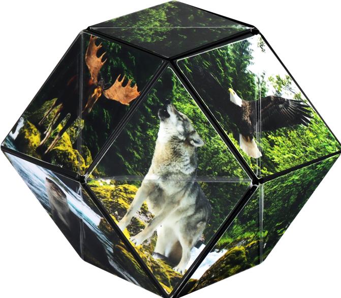 Produktbild Shashibo Cube Forest (1 Spieler)