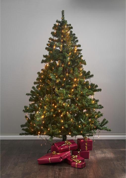 Produktbild Star Trading Lichterkette Golden Warmweiss (2 m)