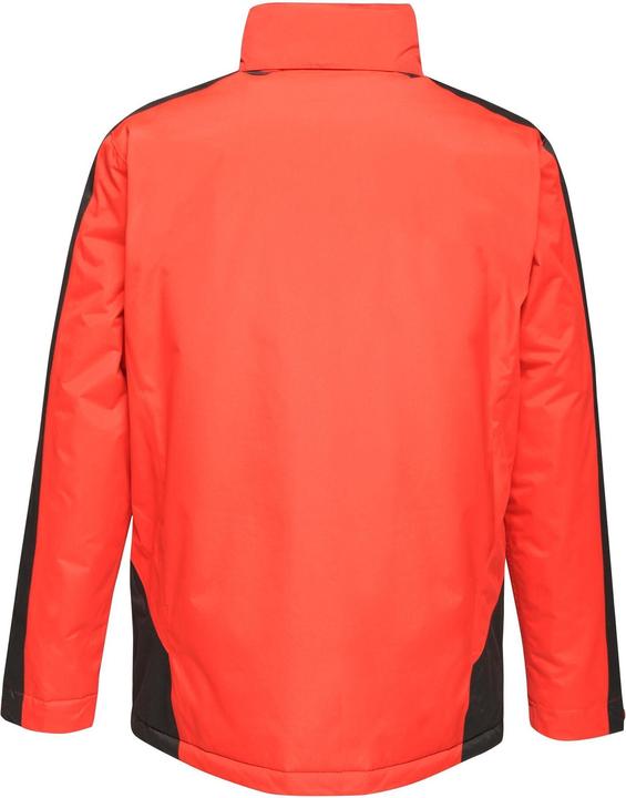 Actual product image Regatta UTRG3743 P (L)