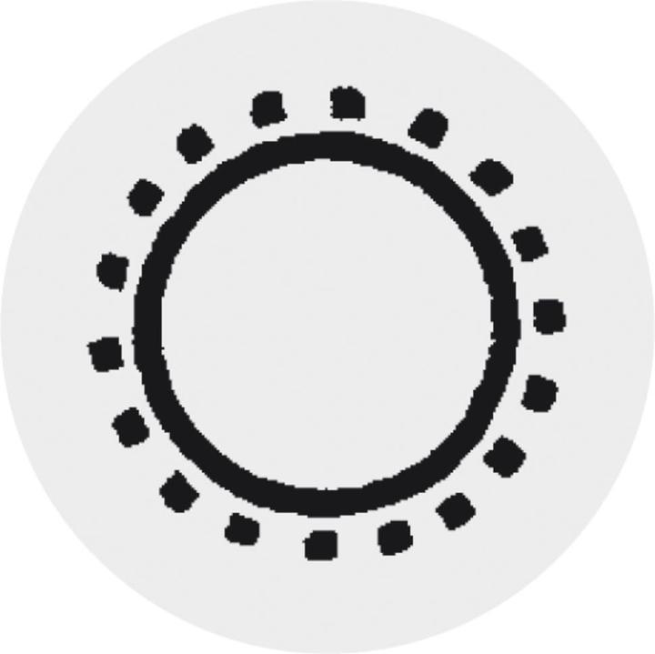 Image du produit Pferd Lime aiguille diamantée (140 mm)