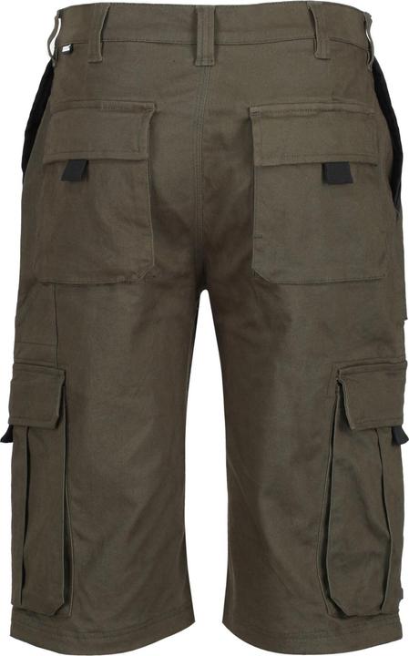 Actual product image Regatta Pro Utility CargoShorts (30)