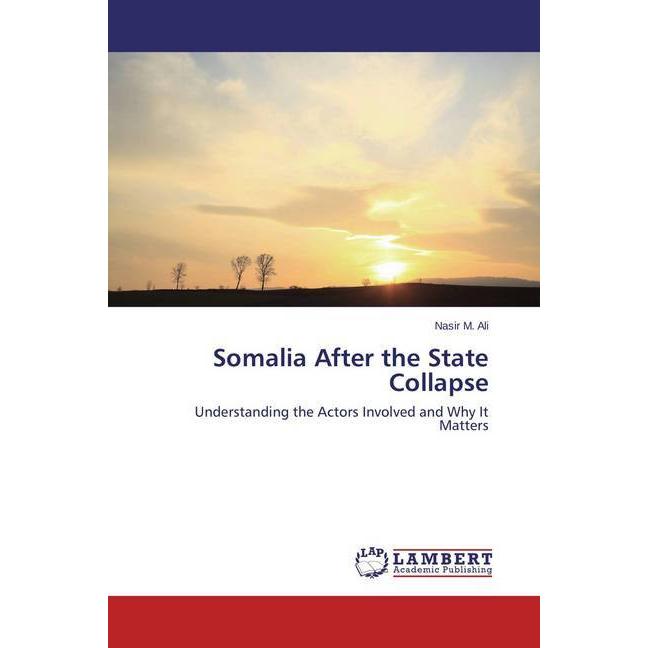 Somalia After the State Collapse, Fachbücher