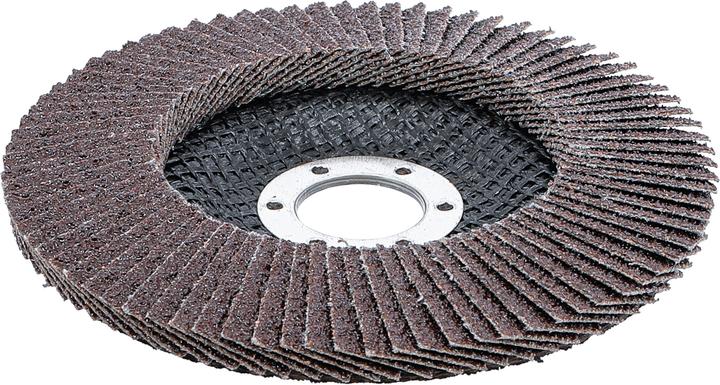 Produktbild BGS Fächer-Schleif-Scheibe Ø 125 mm K 40 (K40)