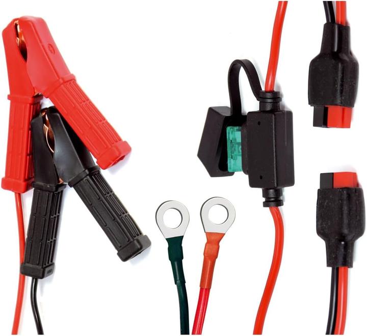 Produktbild Dino Caricabatterie Automatico Intelligente (12V, 24V, 25 A)