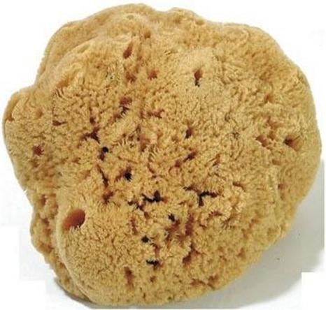 Image du produit NoName Classique de l'éponge pour tableau noir