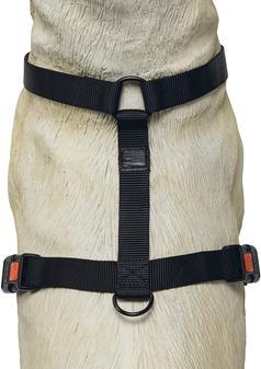 Produktbild Karlie Art Sportiv Plus Geschirr neue universal Farben Mix and Match (L, Hund, Spazieren)