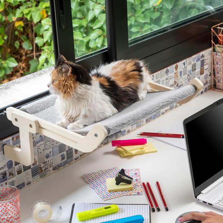 Image du produit InnovaGoods Hamacat (Chat)