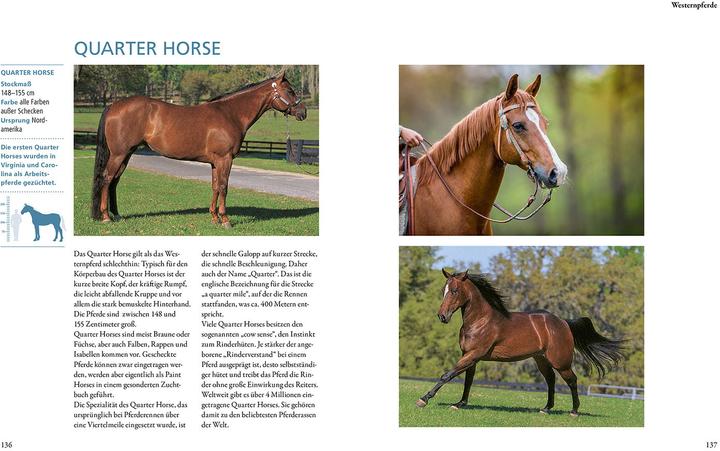 Actual product image Kosmos Pferderassen (German, Silke Behling, 2024)