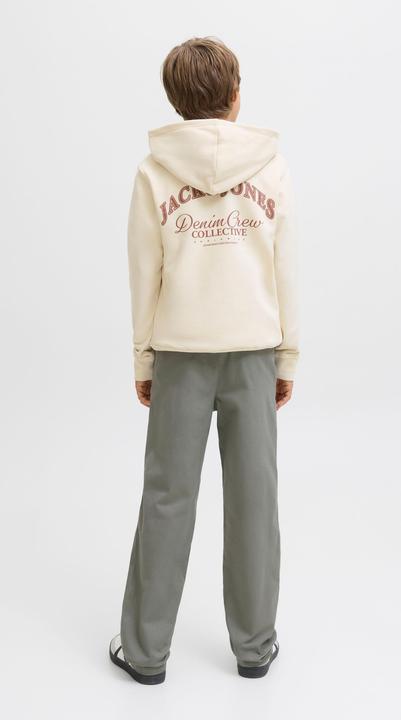 Image du produit Jack & Jones Jjebrandes Backp Relaxed Sweat H Sn Jnr (164)