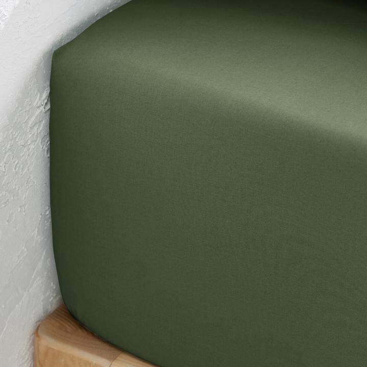 Produktbild La Redoute Interieurs Fixleintuch Scenario aus Baumwollperkal (180 x 200 cm)