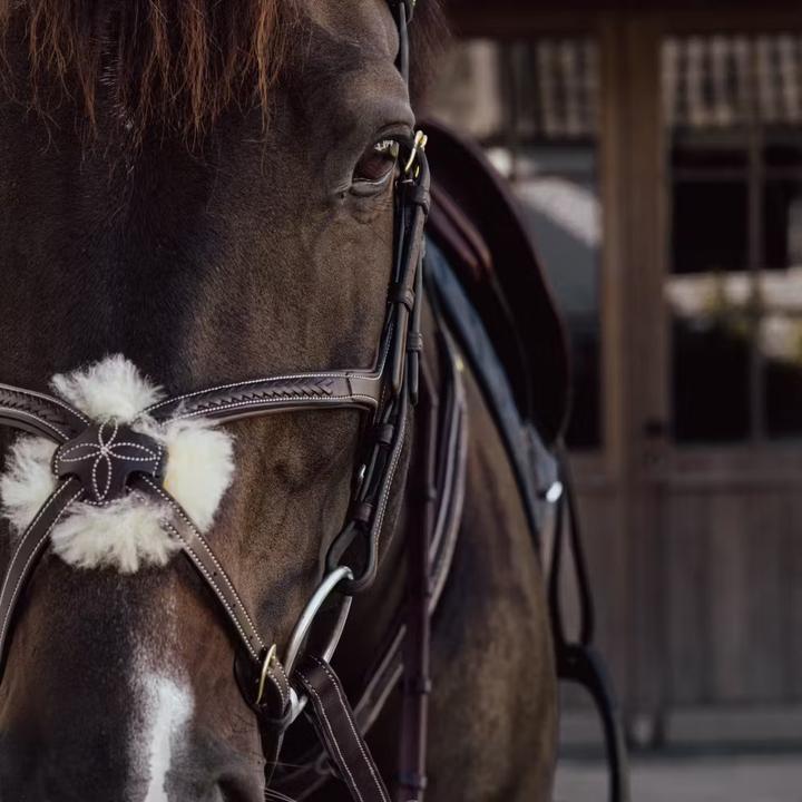 Image du produit Dy'on Muserolle cheval tressée en forme de 8