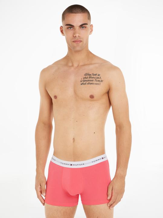 Produktbild Tommy Hilfiger Trunk (XL)