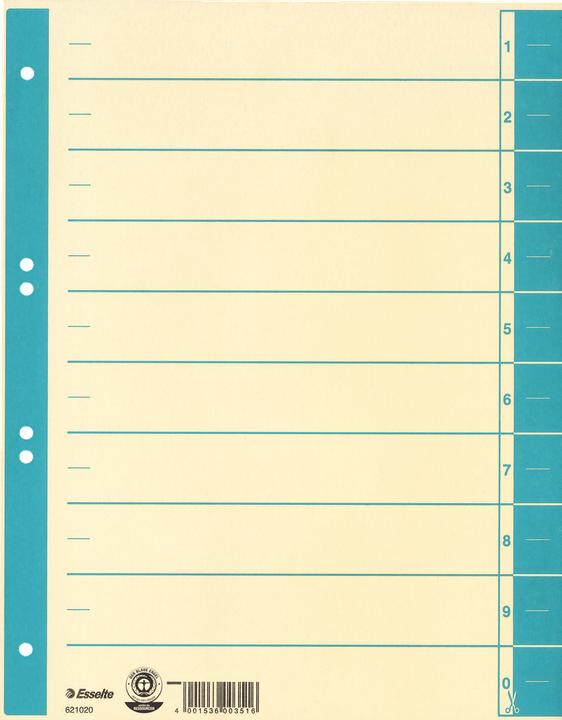 Produktbild Esselte Trennblatt