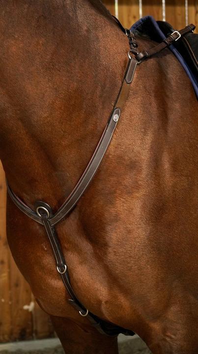 Image du produit Dy'on Collier de chasse Working Collection