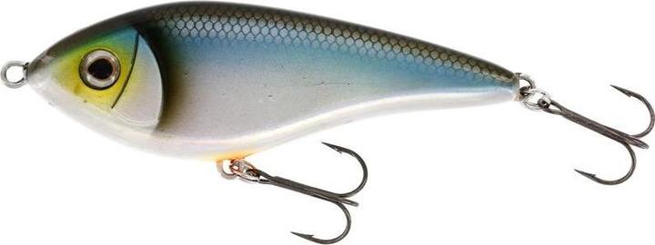Blueback Herring