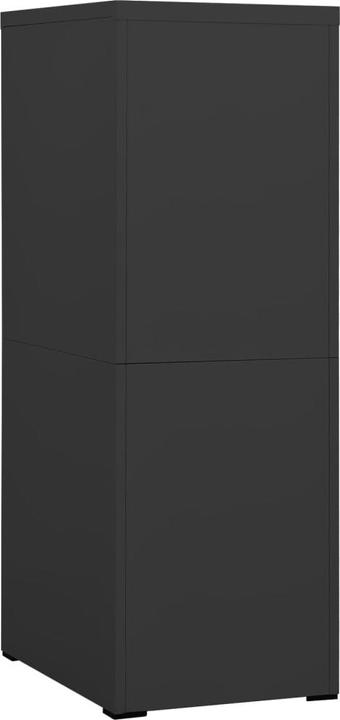 Image du produit VidaXL Manfred (46 x 62 x 133 cm)