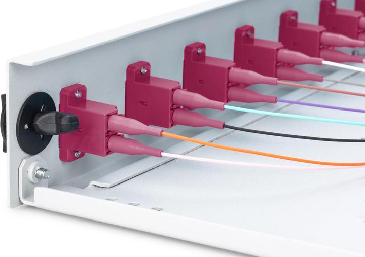 Actual product image Digitus Extendable fiber optic - splice box 1U Equipped 12xLC duplex incl. M 25 screw splice cassette F...