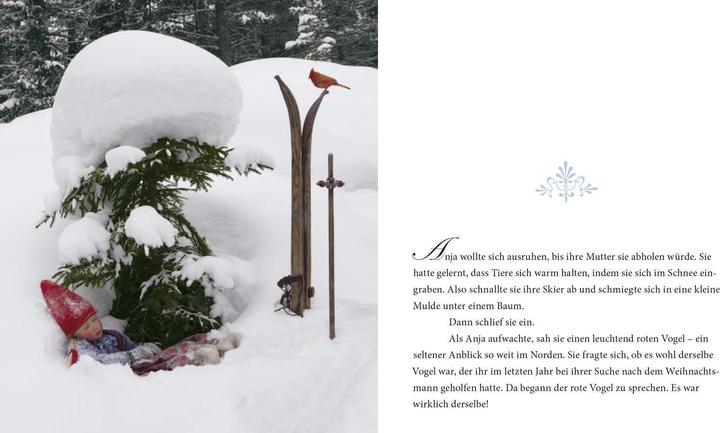 Produktbild Ein wunderbarer Weihnachtswunsch Mini (Deutsch, Tanya Stewner, 2018)