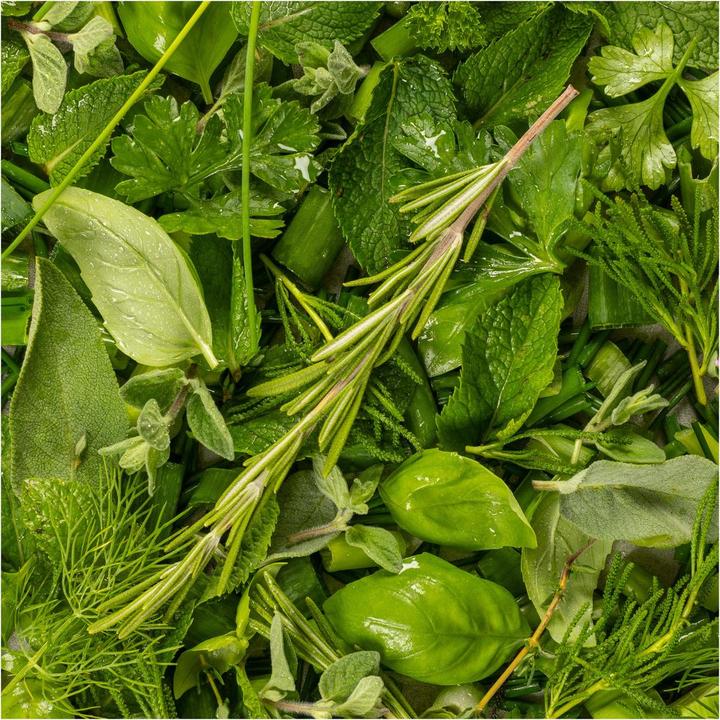 Produktbild Kuhn Rikon Profi-Küchenschere (24 cm)