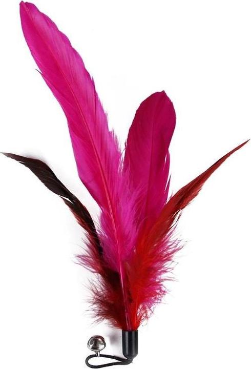 Immagine prodotto Hermex Canna da pesca per gatti con ciondolo di piume Giocattolo per gatti in peluche con bacchetta per (Giocattolo per gatti)