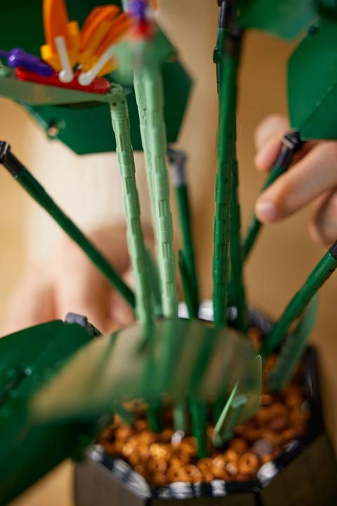 Actual product image LEGO Bird of Paradise (10289, LEGO Rare Sets)