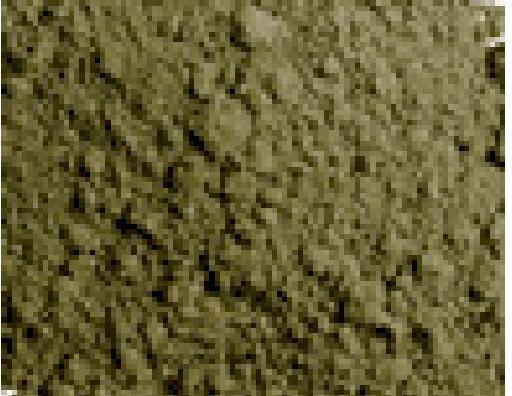 Productafbeelding Vallejo Pigmenten