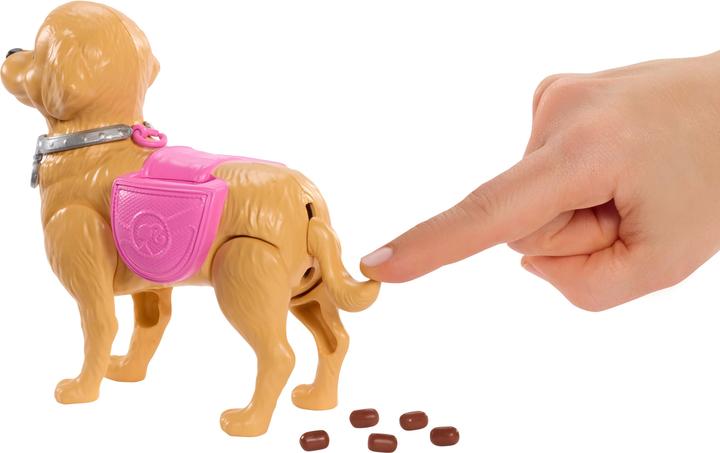 Produktbild Barbie Malibu Hundespaziergang Spielset, enthält Puppe, Hund zum Spazierengehen und Häufchenmachen