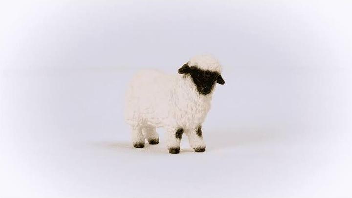 Image du produit Schleich Mouton nez noir du Valais