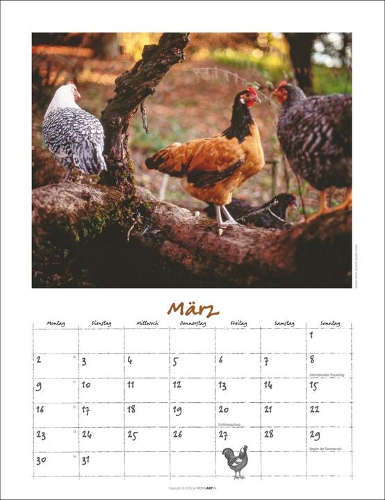 Produktbild Der Hühnerkalender 2026 (30 x 39 cm)