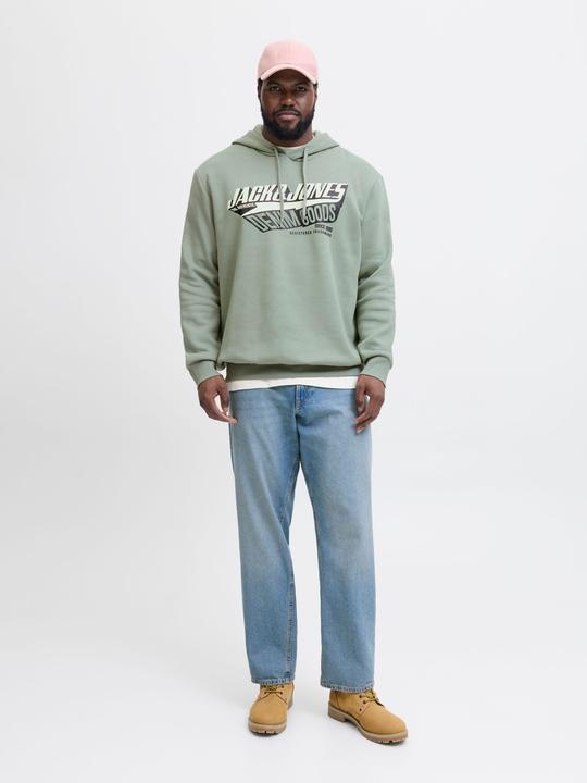 Immagine prodotto Jack & Jones JJELOGO SWEAT HOOD 2 COL 24/25 NOOS PLS (4XL)