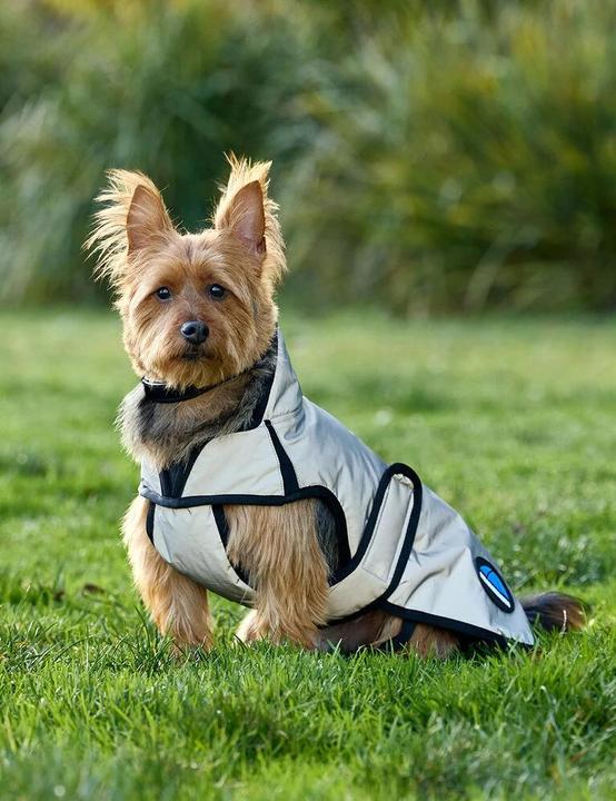 Produktbild Weatherbeeta Comfitec (Hundemantel)