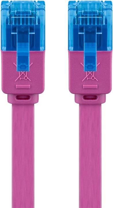 Image du produit Goobay câble de raccordement (U/UTP, CAT6a, 2 m)