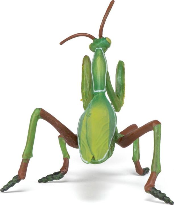 Produktbild Papo Gottesanbeterin