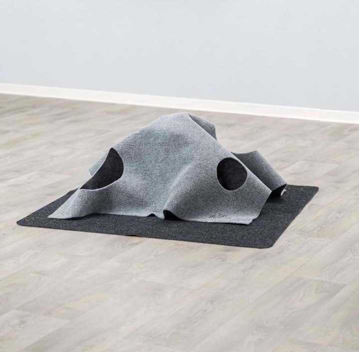 Actual product image Trixie Adventure Carpet