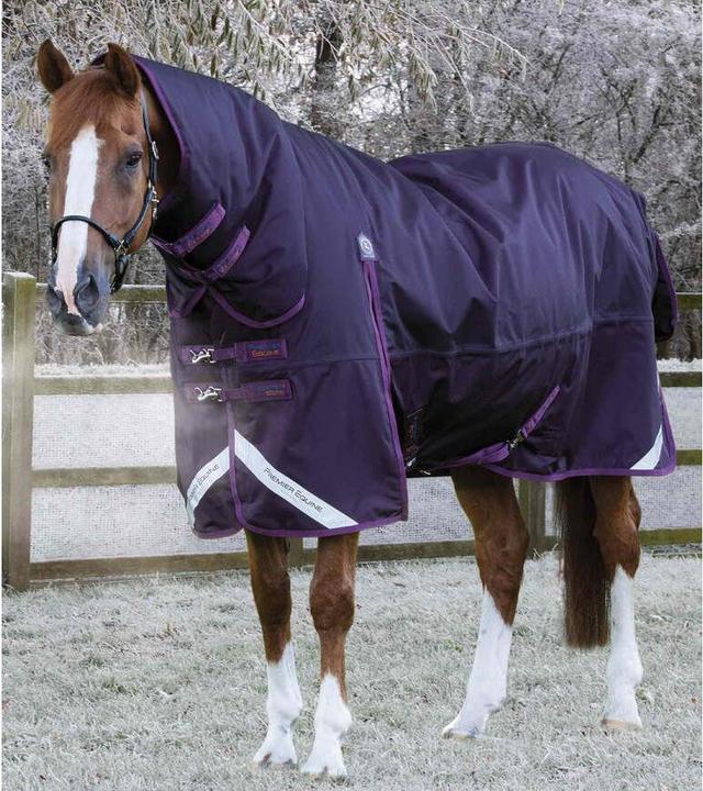 Image du produit Premier Equine Buster Storm Classic 420 g (175 cm)