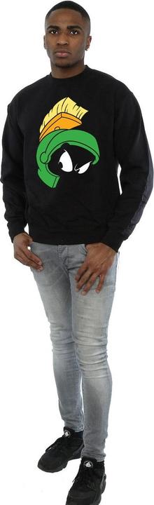 Actual product image Looney Tunes Sweatshirt (M)