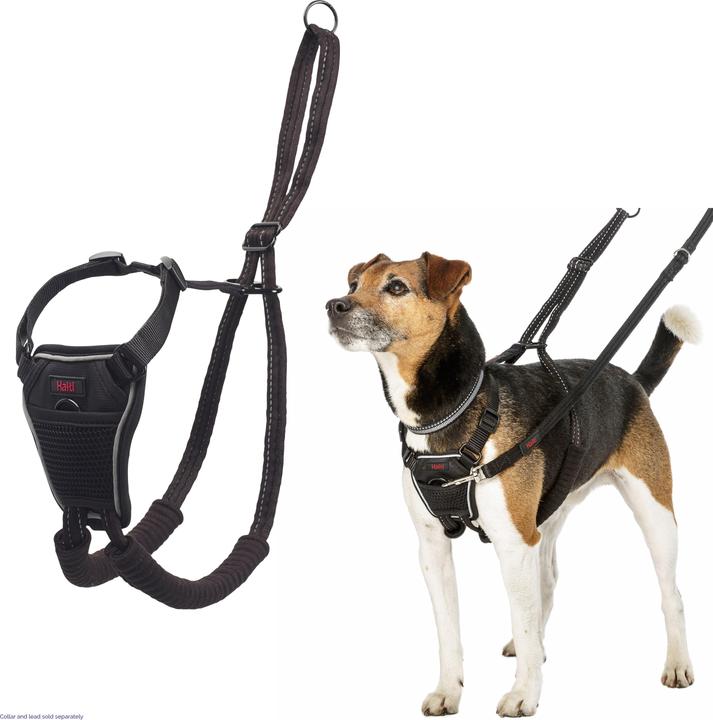 Actual product image Halti No Pull Geschirr (Dog, Walks)