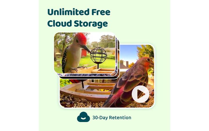 Produktbild Birdfy Futterspender FSC Bambus Mini Solar