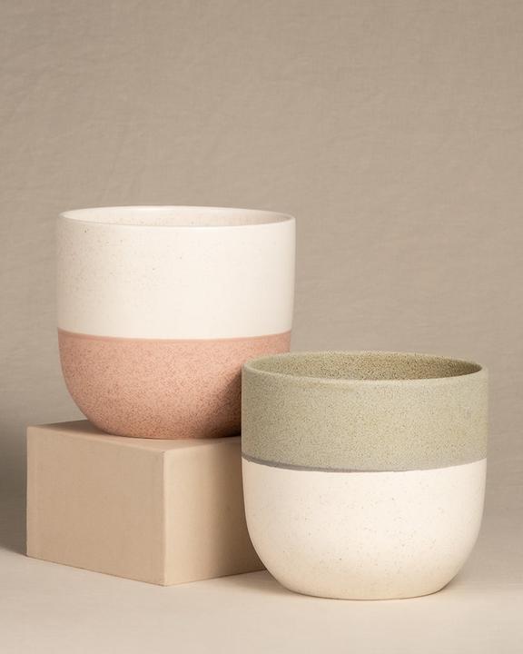 Image du produit feey Variado (18.20 cm)