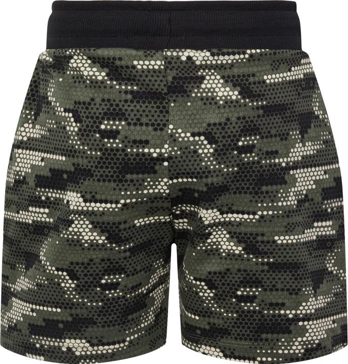 Actual product image hummel Hmlfsk Go Shorts (110)