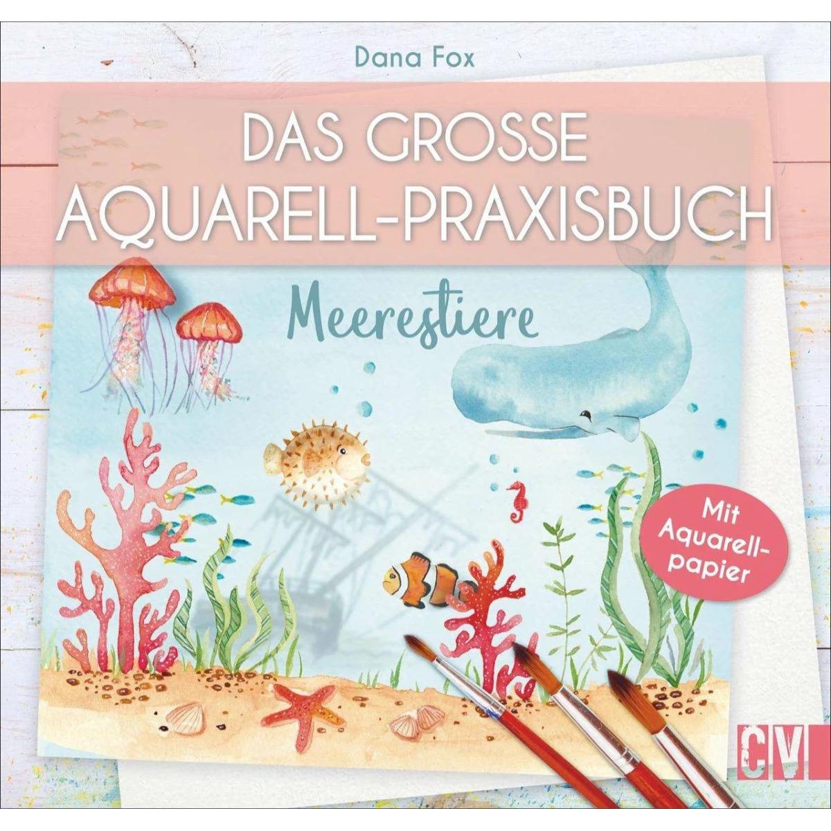 Das grosse Aquarell-Praxisbuch, Ratgeber von Dana Fox