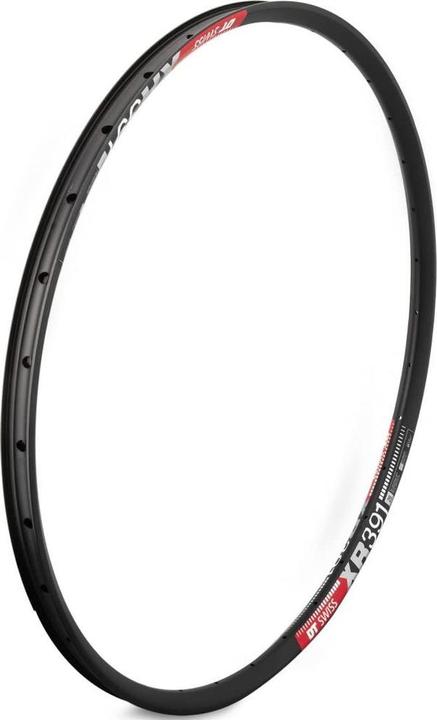 Immagine prodotto DT Swiss XR 391 (23.90")