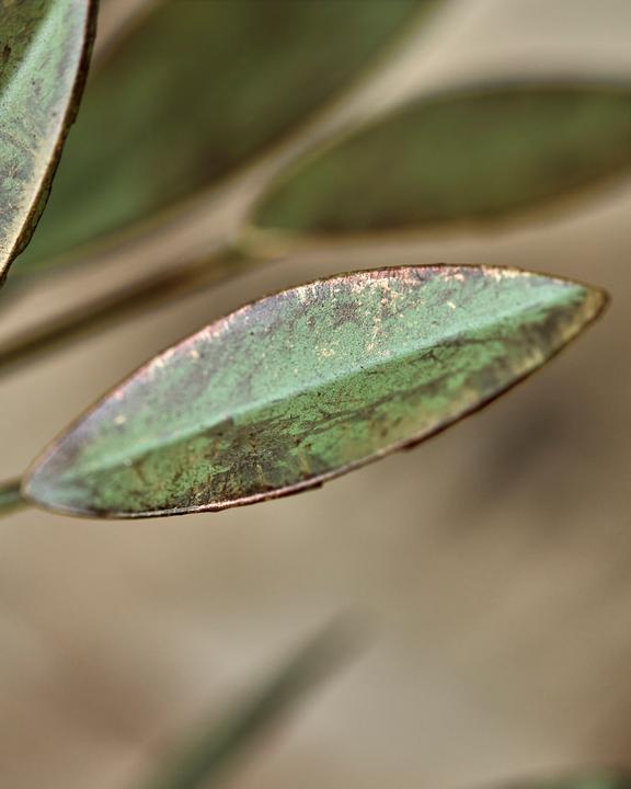 Actual product image House Doctor Candle stand, HDLeaves, Antique green